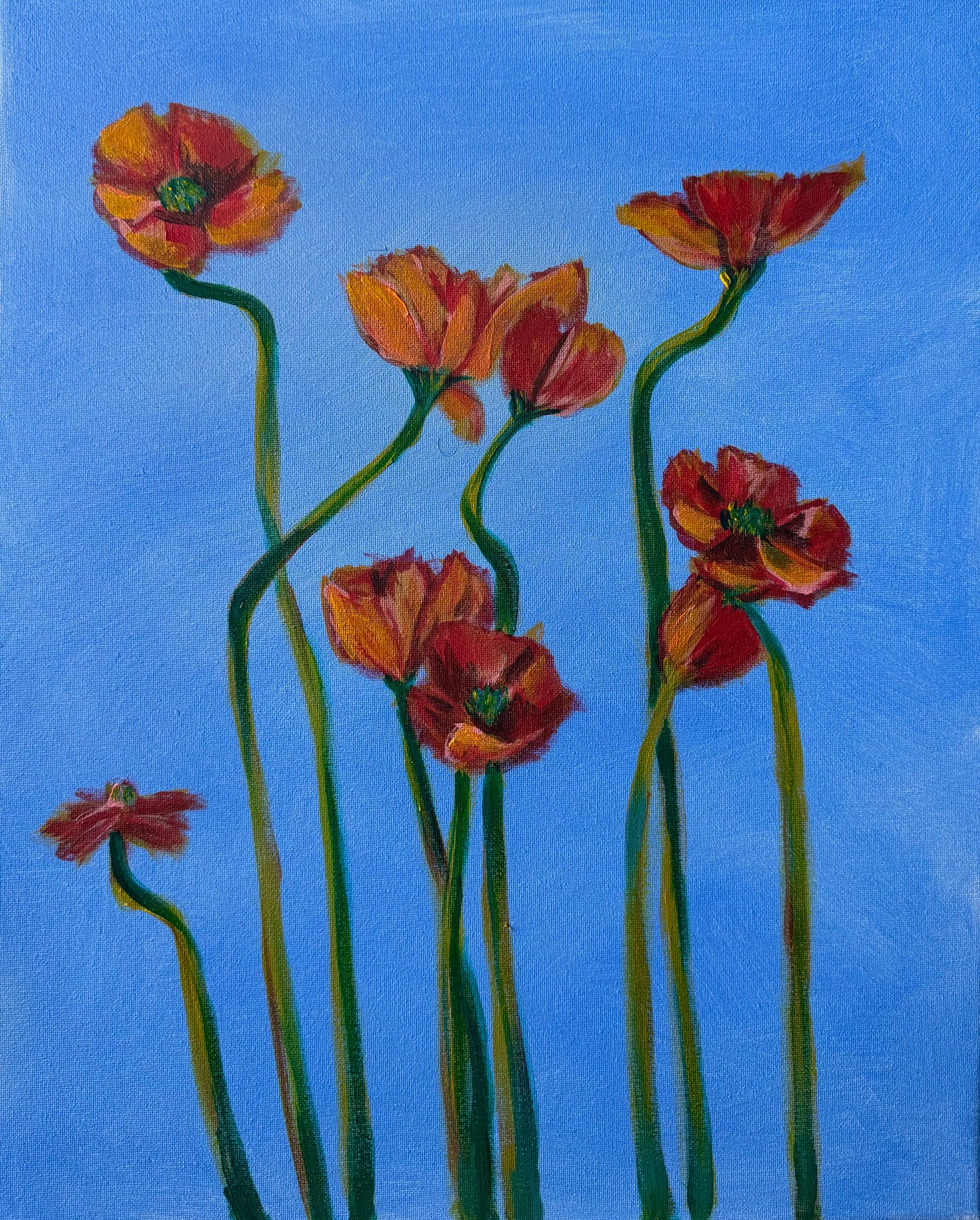 Playful Poppies!