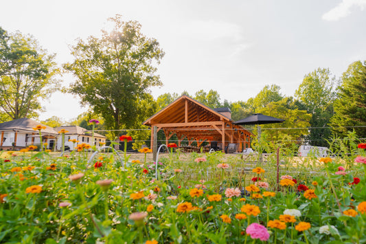 "U-Pick and Paint" Workshop at Sassafrass Flower Farm!